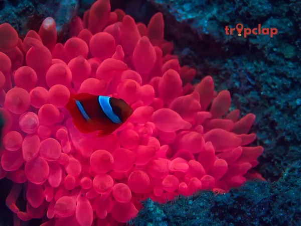 9. Marine Life Park, Singapore