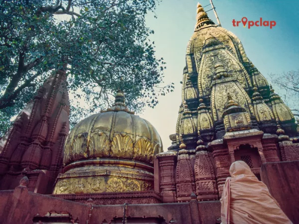 Kashi Vishwanath Temple, Uttar Pradesh: 