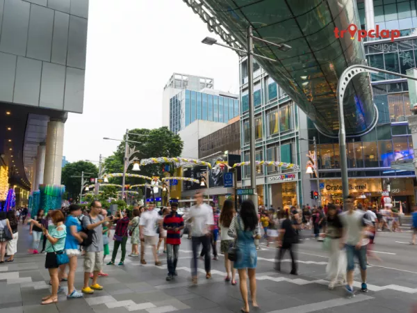 Orchard Road