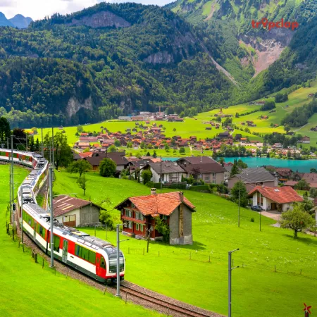 Swiss Delights: Discover the Top Destinations to Visit in Switzerland