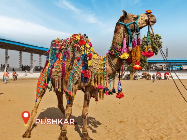 1.3 Pushkar, Rajasthan