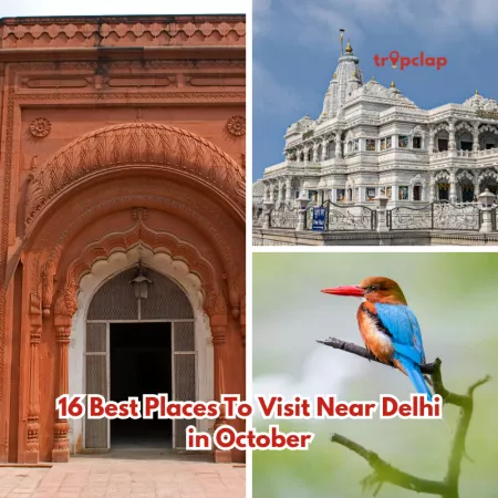 Best weekend destinations to visit with family near Delhi in October
