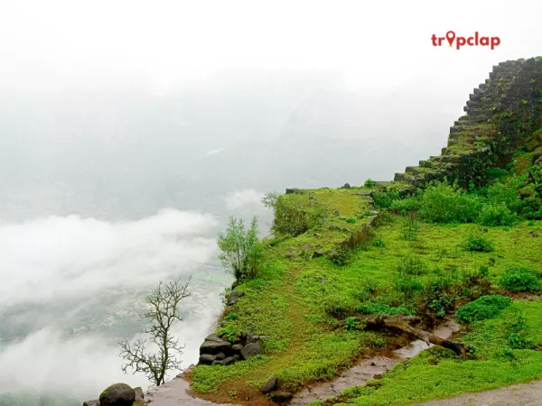 6. Mahabaleshwar: The Queen of Hill Stations