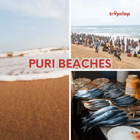 Puri Beaches: Where Tranquility Meets the Roar of the Sea