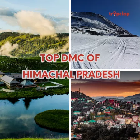 Top DMC of Himachal Pradesh