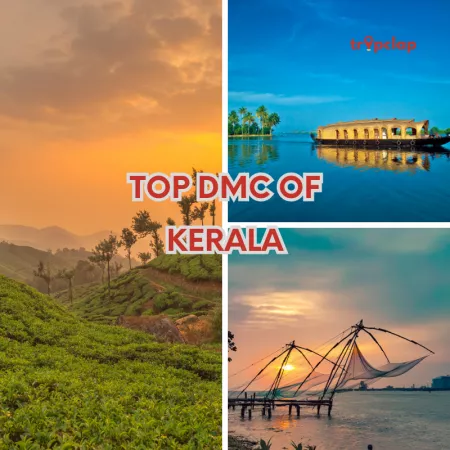 Top DMC of Kerala: Unveiling the Treasures of God's Own Country
