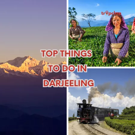 Exploring Darjeeling's Charms: Top Things to Do in Darjeeling