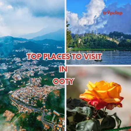 Exploring Ooty's Enchanting Charms: Top Places to Visit in Ooty