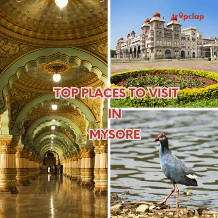 Mysore Magic: Top places to visit in the city