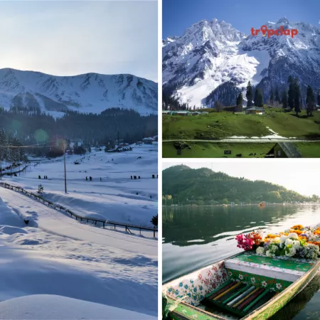 Places To Visit In Kashmir, that must be on every traveler’s list
