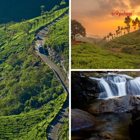 A guide to top places to visit in Munnar 