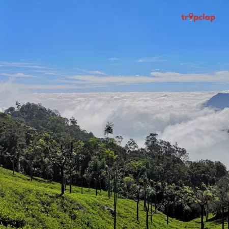 Top tourist's sightseeing places to visit in Coonoor 
