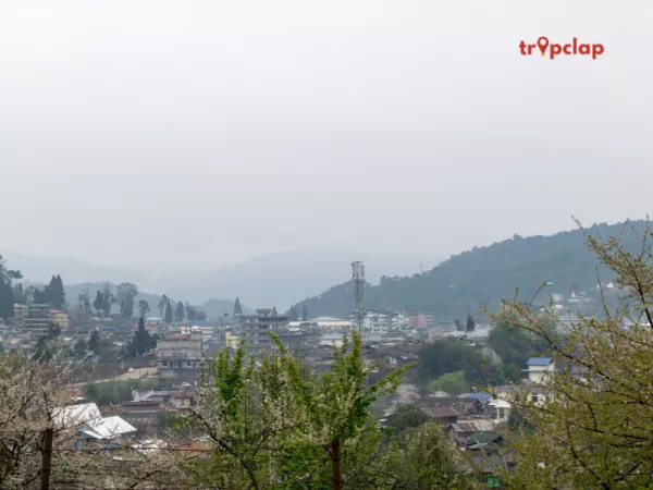 3.2 Ziro Valley, Arunachal Pradesh