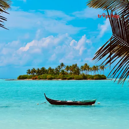 Top places to visit and top things to do in Lakshadweep 