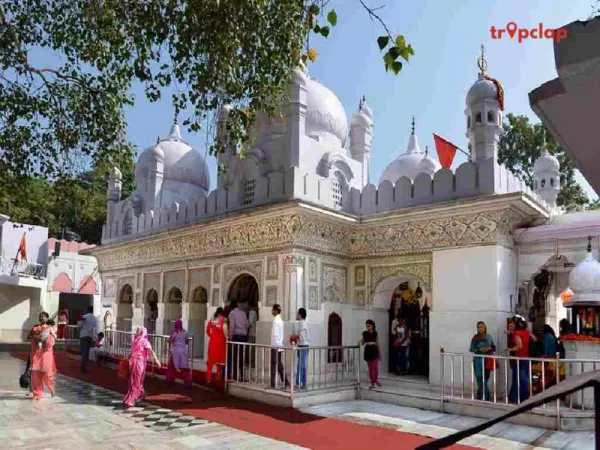  Day 1: Delhi to Chandigarh via Mansa Devi Temple - 6 hours