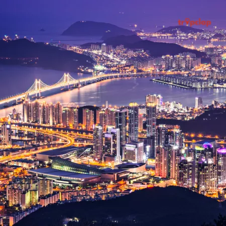 Top Destination Management Companies (DMCs) of Korea
