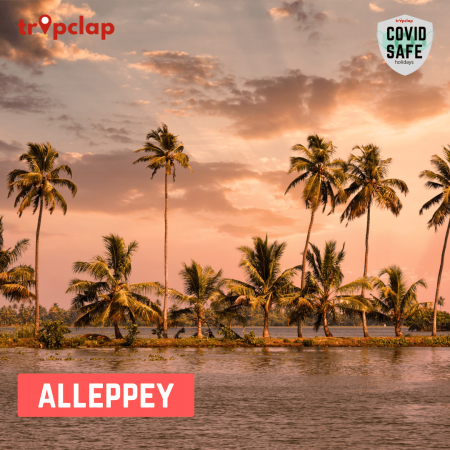 6. Alleppey