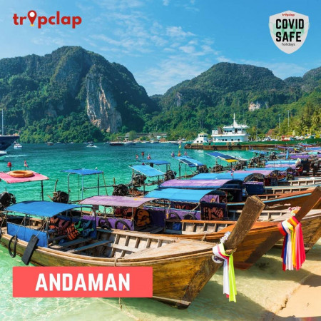 4.6. Andaman and Nicobar Islands