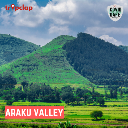 13. Araku Valley