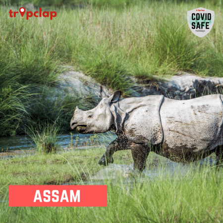 Assam
