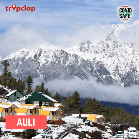 6.Auli