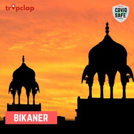 11. Bikaner
