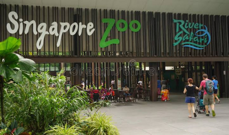DAY 1 - Singapore Zoo and night Safari