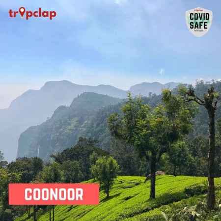 9. Coonoor