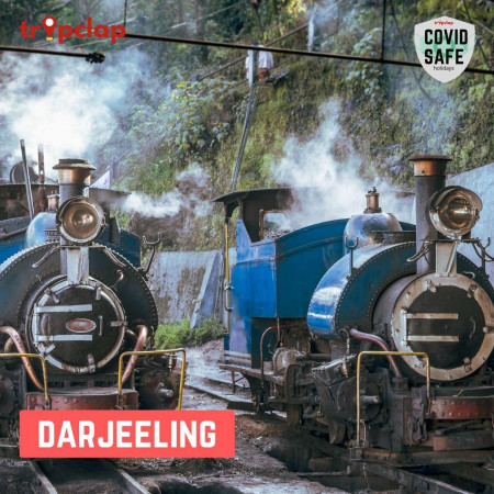 3. Darjeeling