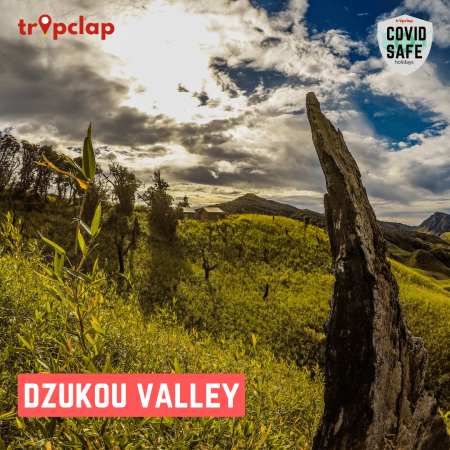 11. Dzukou Valley