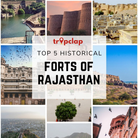 Top 5 Historical Forts of Rajasthan
