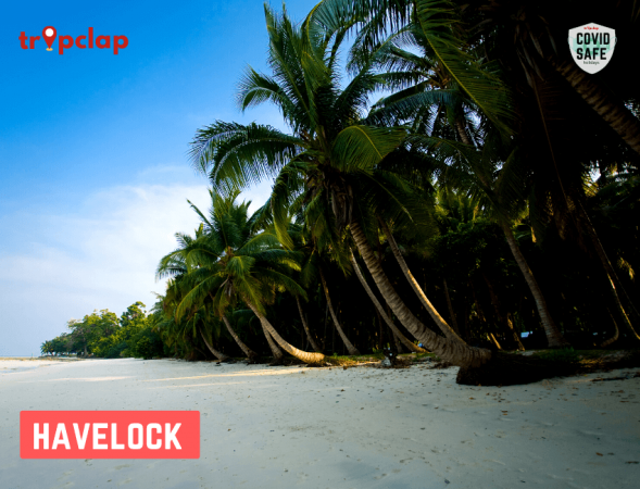 Havelock Island