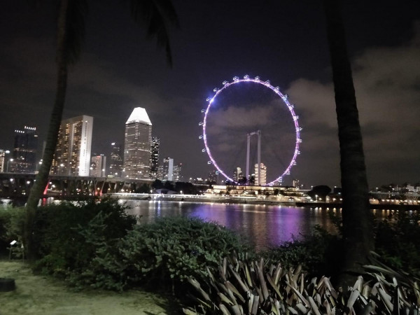 DAY 2 - SINGAPORE FLYER, THE MARINA BAY SANDS, GARDENS BY THE BAY