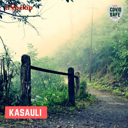 Kasauli