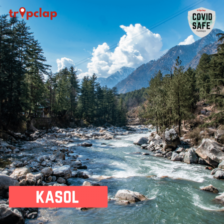 1.6 Kasol