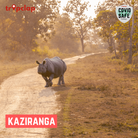 2. Kaziranga