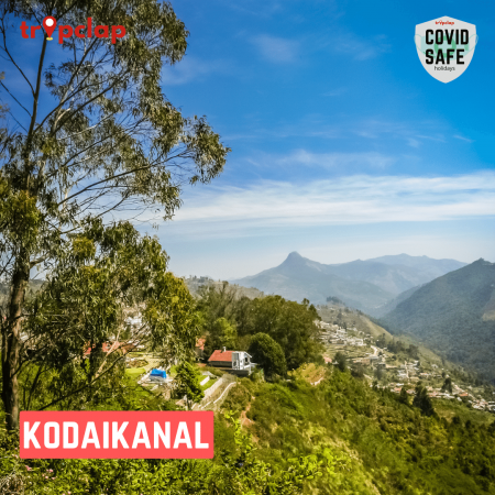 8. Kodaikanal