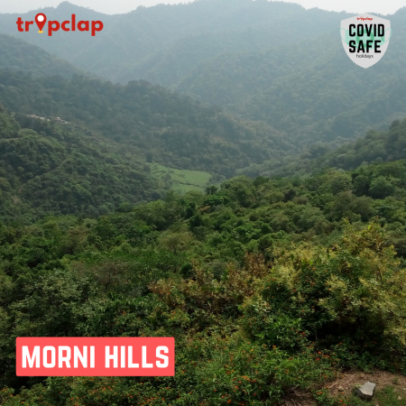 Bonus - Morni Hills