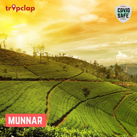 9. Munnar