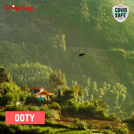 7. Ooty