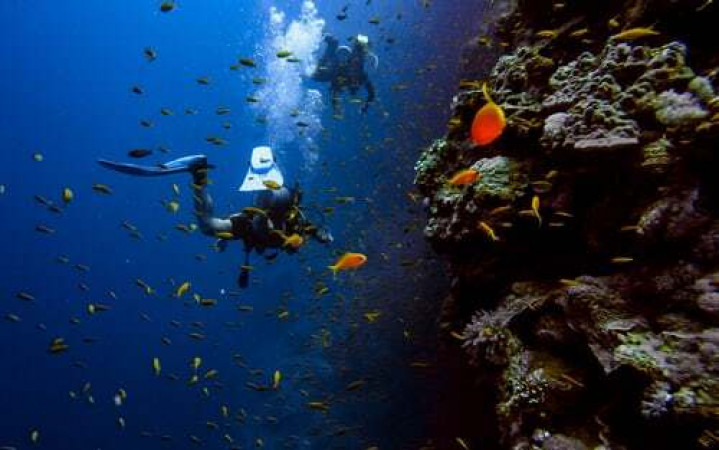 10. SCUBA DIVING AND SNORKELING