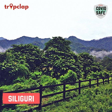 7. Siliguri