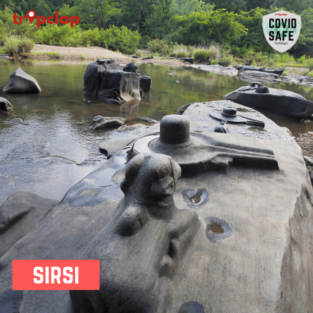 12.Sirsi
