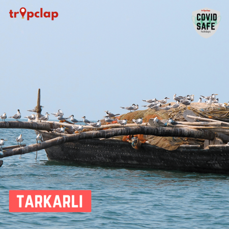 5. Tarkarli