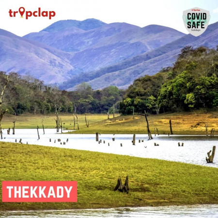Thekkady