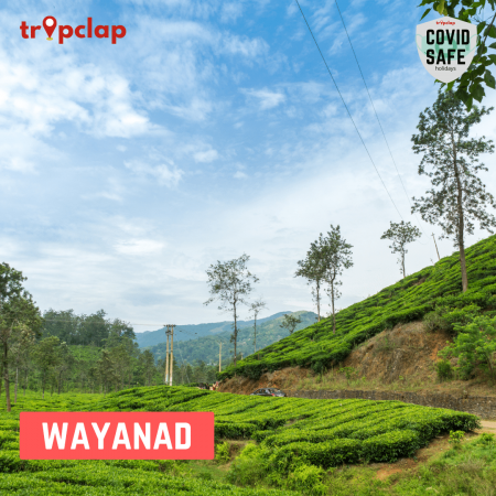 Wayanad