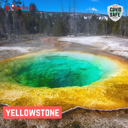 7. Yellowstone National Park