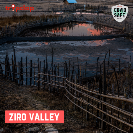 1.3. Ziro Valley